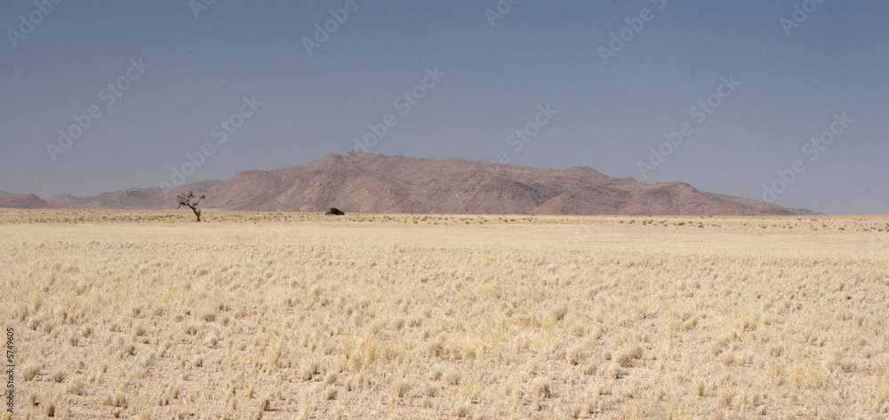 Wüstenlandschaft in Namibia