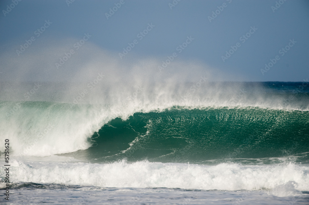 Fototapeta premium wave