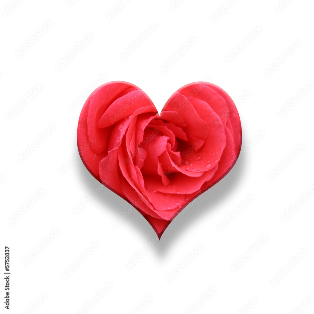 Valentine illustration of heart shaped red flower on white Valentine illustration of heart shaped red flower on white