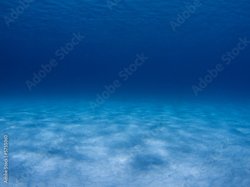 Underwater scene in the Caribbean Sea © DJ