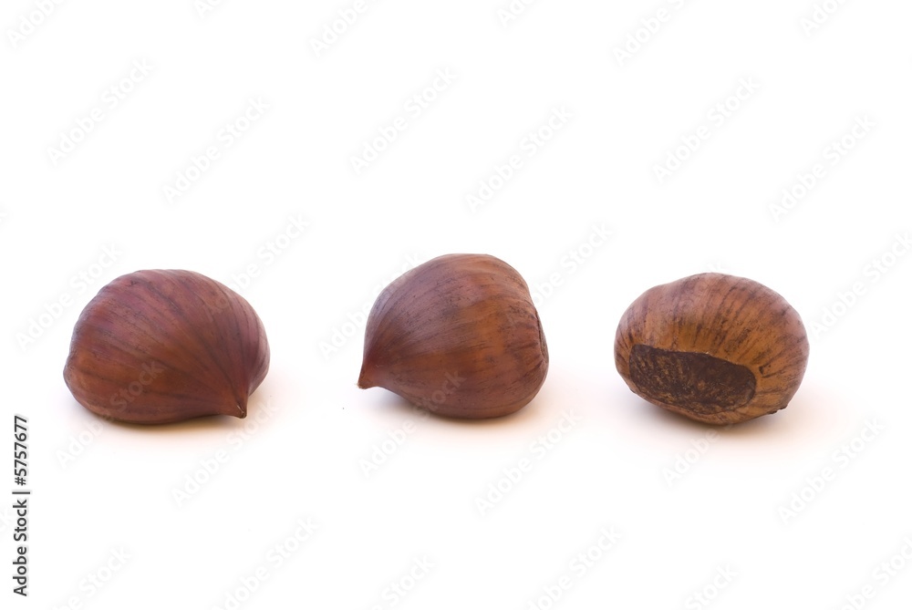 Isolated chestnuts at various viewing angles Isolated chestnuts at various viewing angles