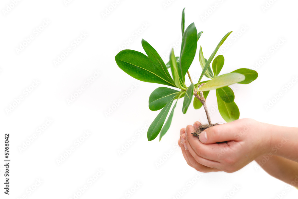 growth concept growth concept