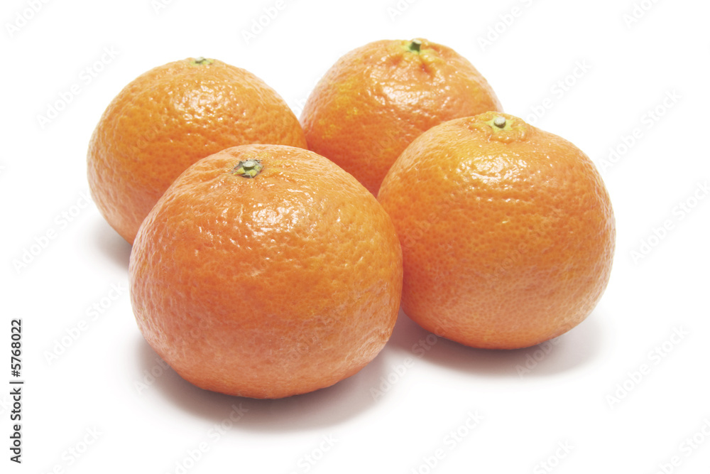Mandarins on White Background Mandarins on White Background