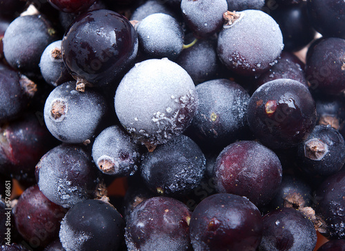 frozen blackenning currant.useful berry, much vitamins