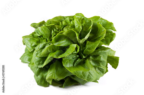 Obraz na plátně légume salade laitue
