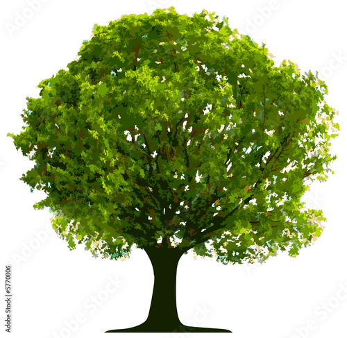 Vector tree