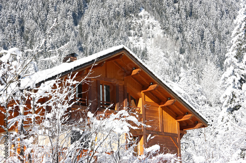 Alpine cabin #5774202