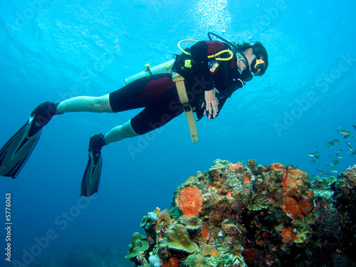 A diver floating over a coral reef in the Caribbean Sea