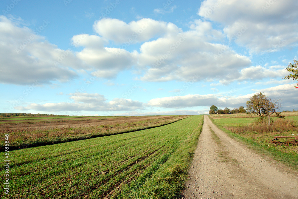 Country road leading up to the horizon line Country road leading up to the horizon line