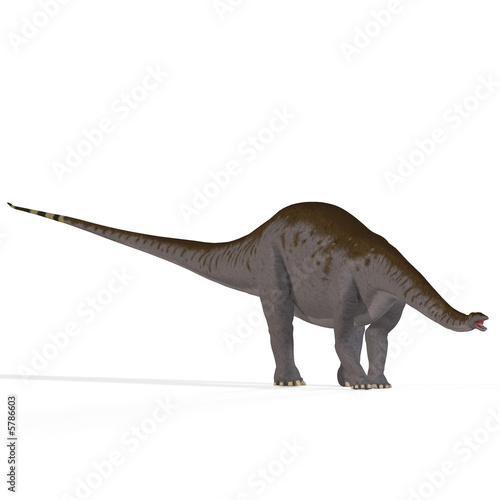Fototapeta Naklejka Na Ścianę i Meble -  Rendered Image of a Dinosaur.Image contains a Clipping Path