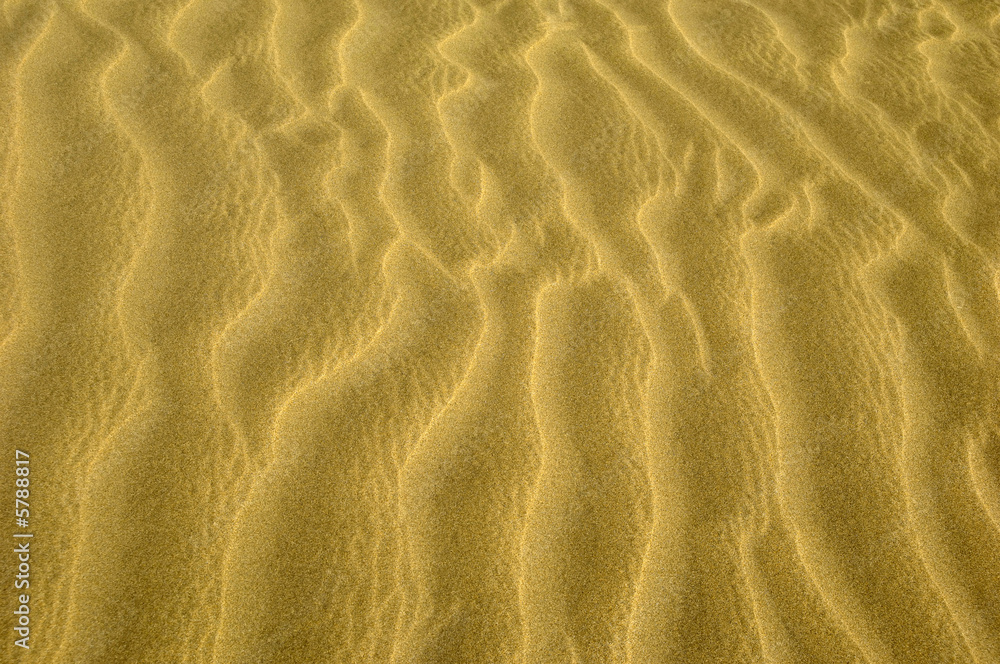 wave pattern background in the sand wave pattern background in the sand