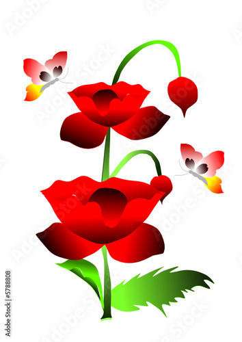 printemps et coquelicots
