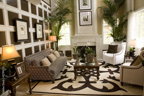 Luxury home living room with contemporary decor.
