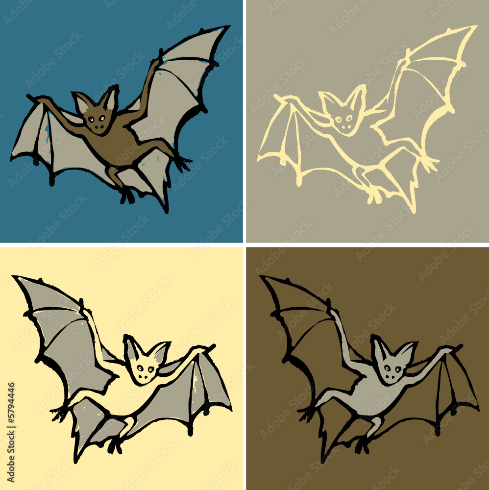 dessin animal 