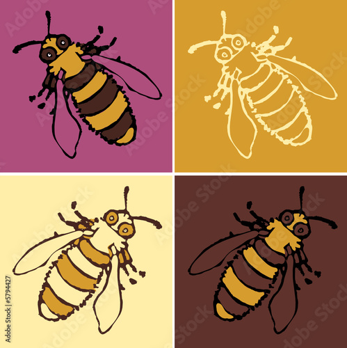 dessin animal 