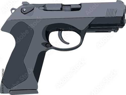 Gray Standard Gun