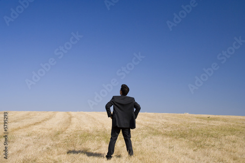 Businessman looking to the future in a field