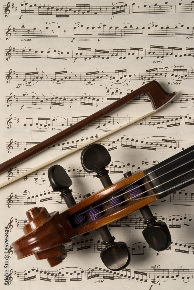 Naklejka premium Violin and bow