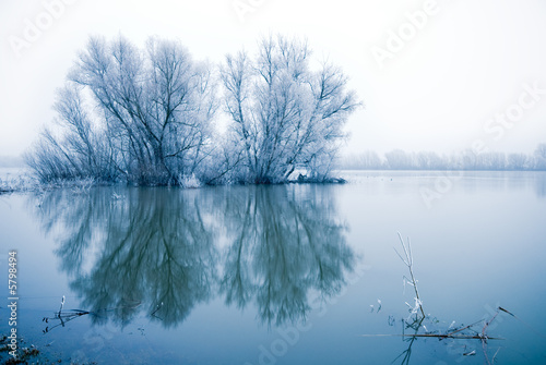 winter landscape scene