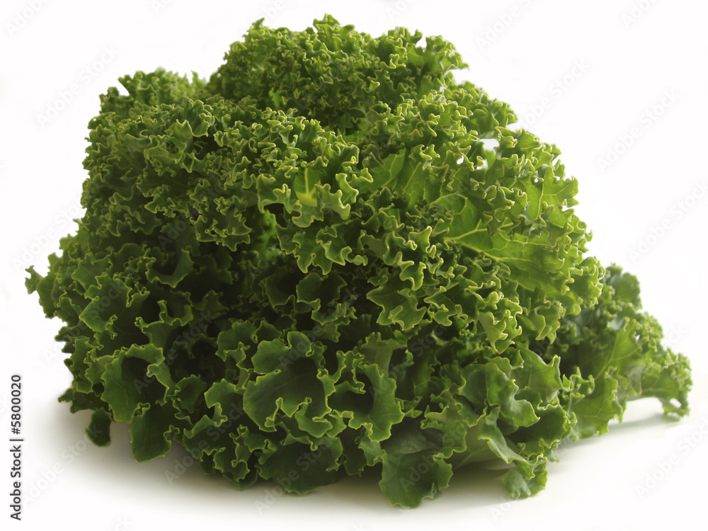 Obraz premium curly kale leaves