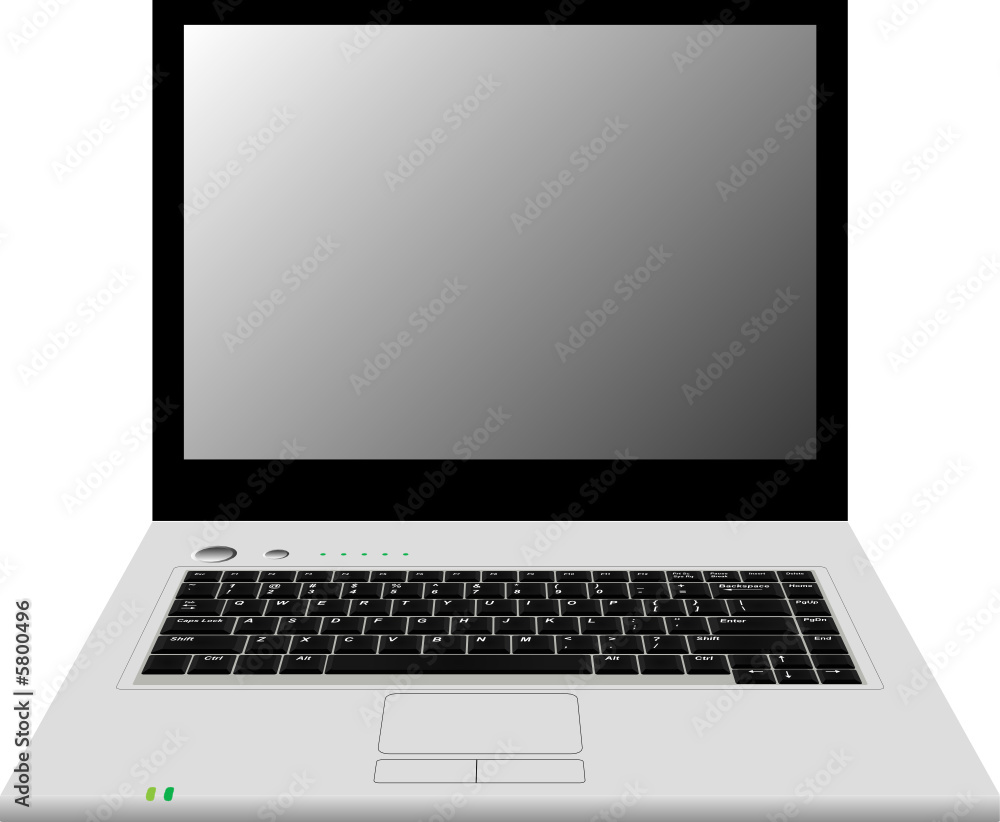 Fototapeta premium laptop