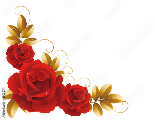 roses