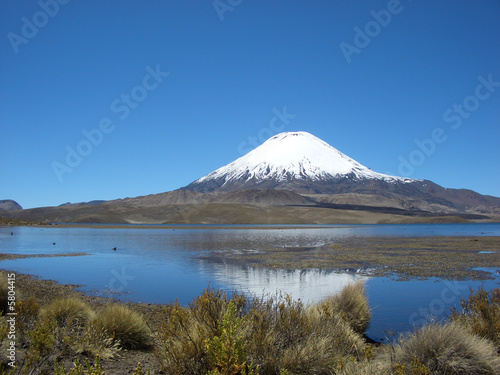 Vulkan Parinacota am Chungara See, Altiplano, Chile