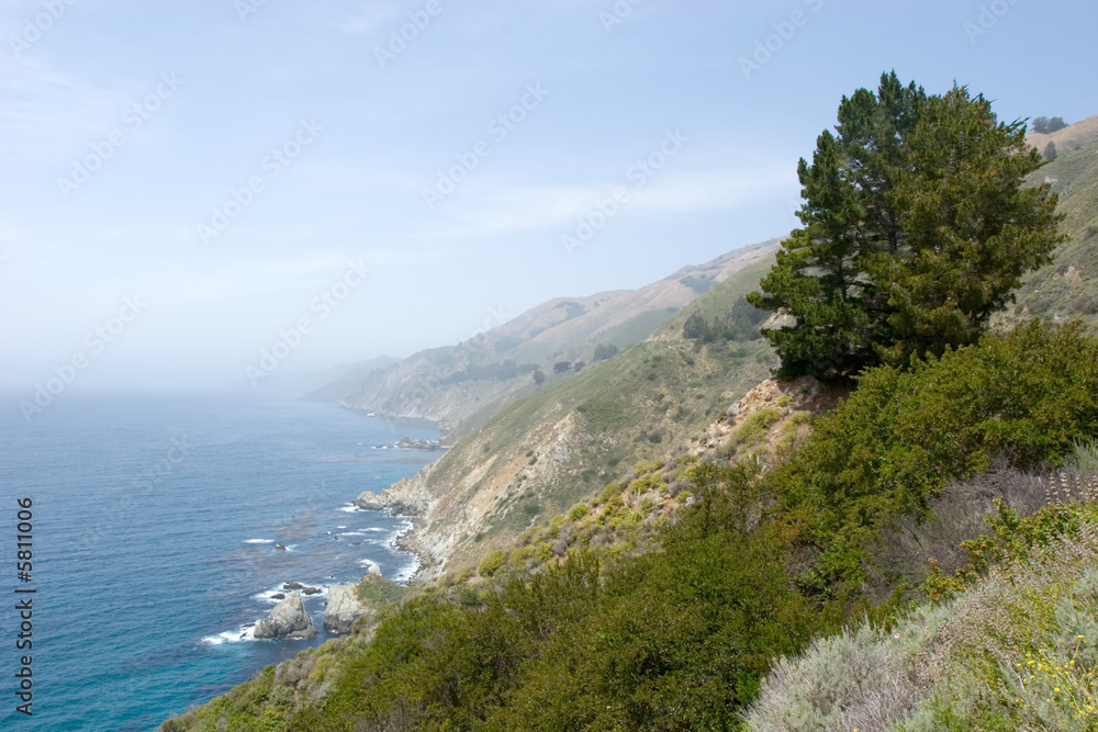 Central California coast during Spring season