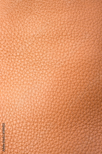 leather background © Alison Bowden