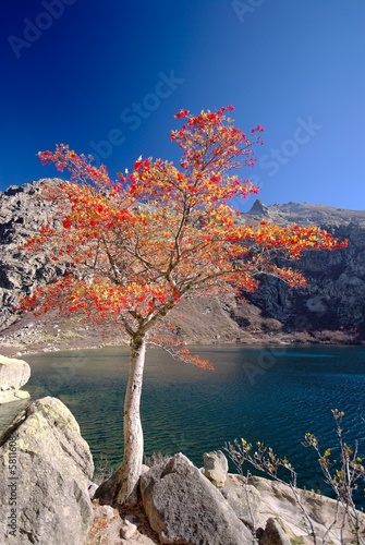 Paysage Corse