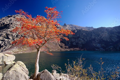 Paysage corse