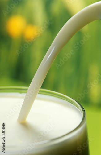 VERRE DE LAIT