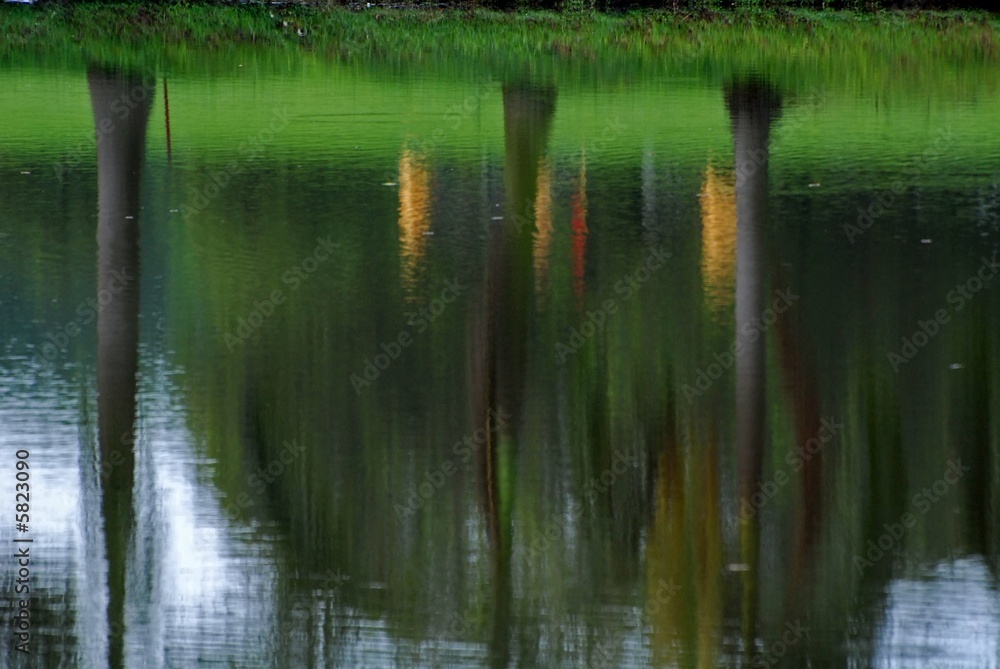 reflection of tree and grass in the lakes