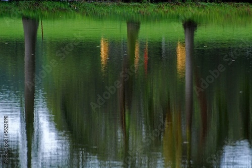 reflection of tree and grass in the lakes