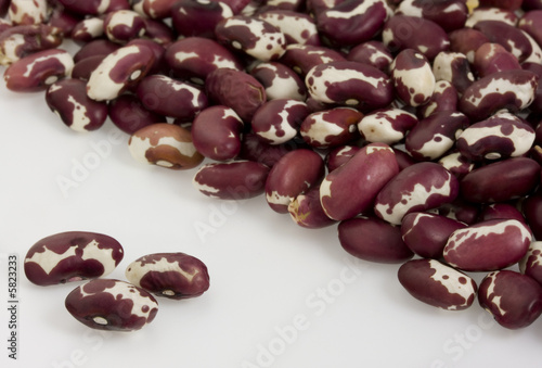 Purple and white Anasazi beans  photo