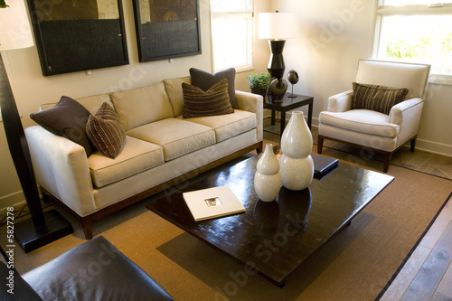 Luxury home living room with contemporary decor.