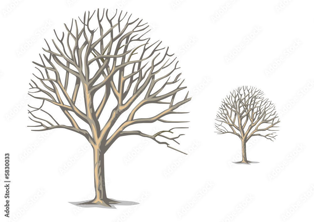 Obraz premium Árboles