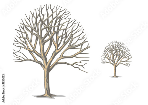 Árboles