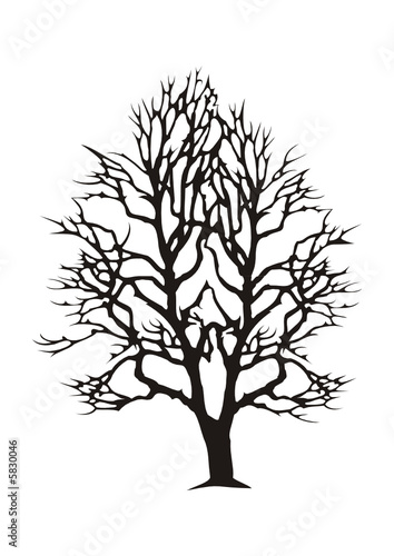 Árbol