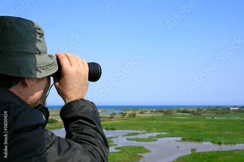 Man observing wildlife (Aiguamolls Emporda, Spain)