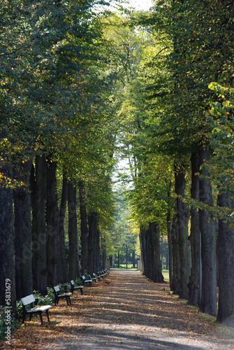 Bürgerpark Bremen