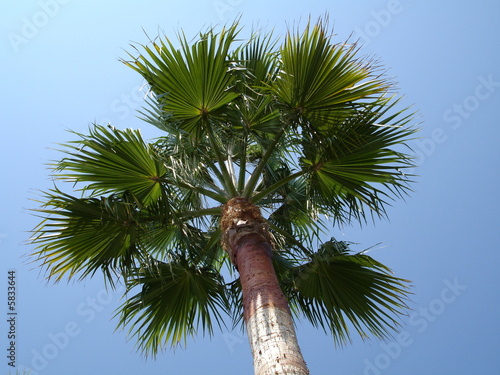 La Palma