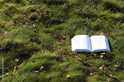 Open book on grass