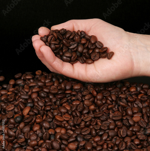 Hand holding coffee neans on a black background photo