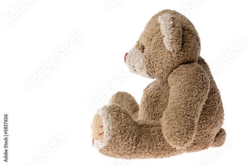 Sitting teddy bear - isolated on white.