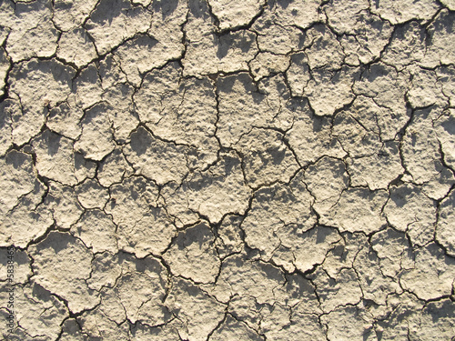 cracked earth