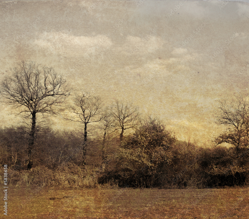 old-fashioned landscape - antique house - village old-fashioned landscape - antique house - village