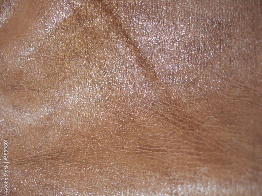 Naklejka premium tan leather