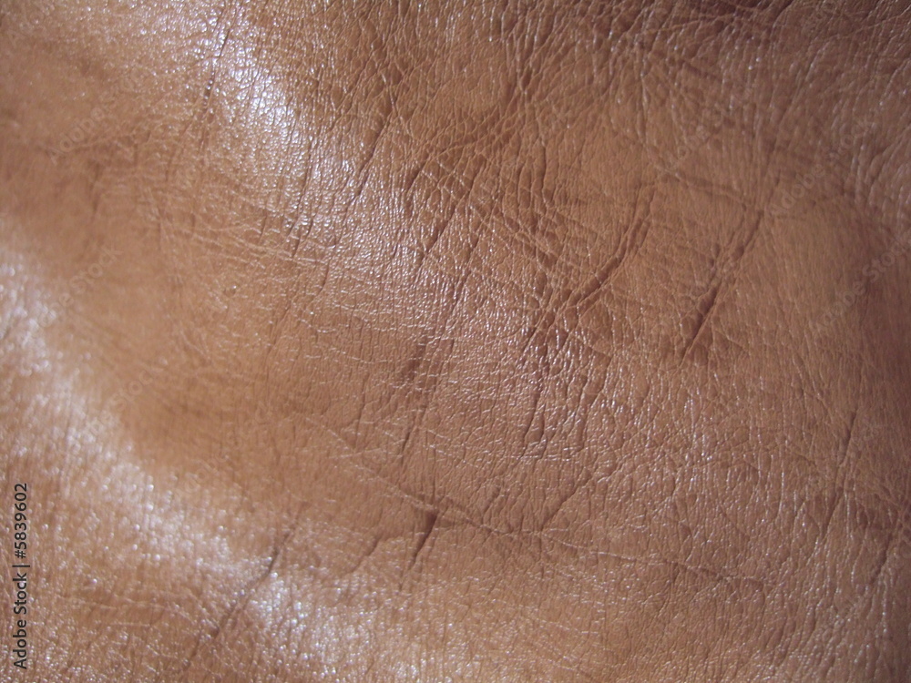 tan leather tan leather