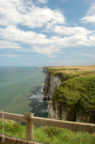 Bempton Sea Cliffs